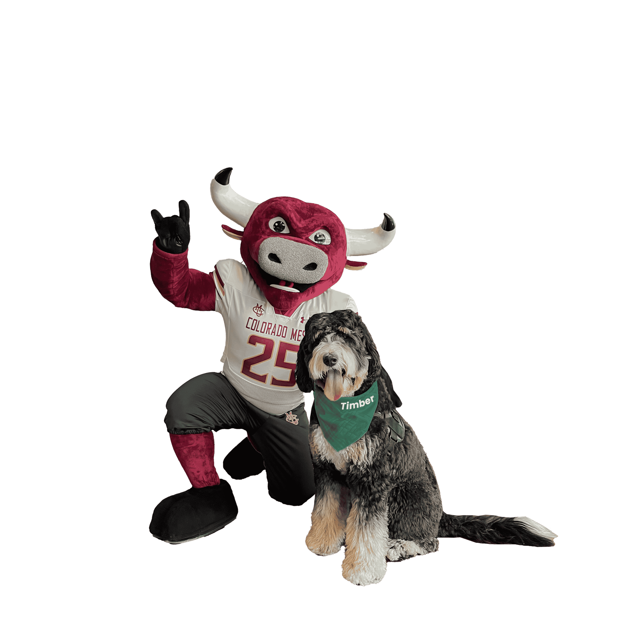 Untitled design (11)